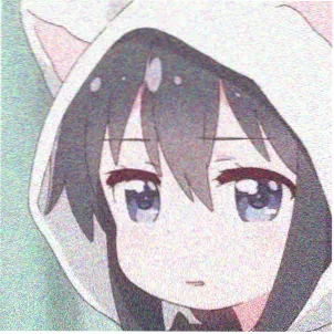 读者头像十二